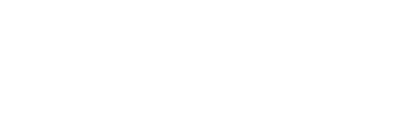 IRIS INSURANCE logo